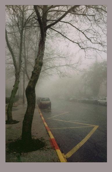 фото "Утро туманное/Foggy morning" метки: разное, 