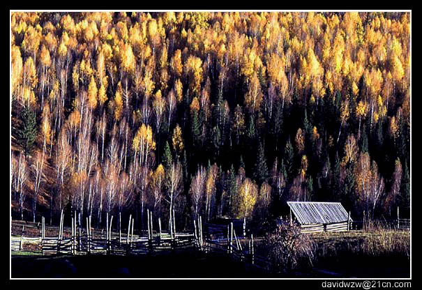 photo "The house in the fall" tags: landscape, autumn