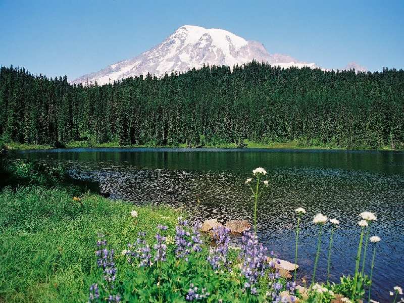photo "Rainier Mountain, USA" tags: landscape, mountains