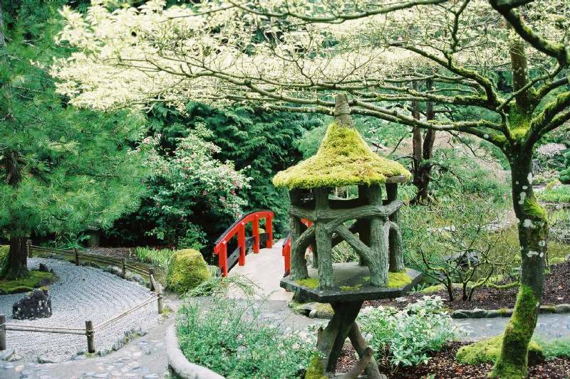 photo "Japanese Garden" tags: travel, nature, North America, flowers
