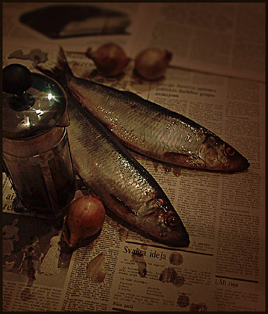 photo "Still Life with Herrings" tags: still life, 