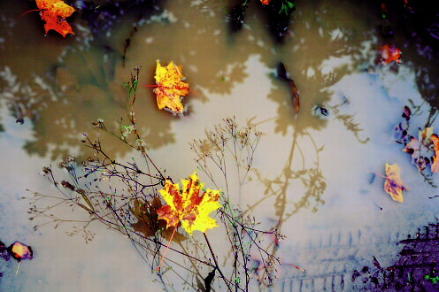 photo "Untitled photo" tags: landscape, still life, water