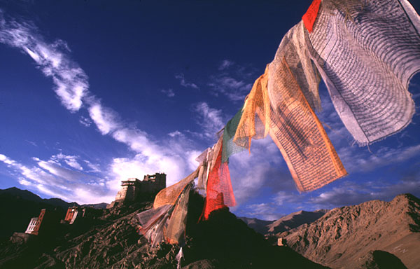 photo "Prayer Flags in Ladakh" tags: travel, Asia