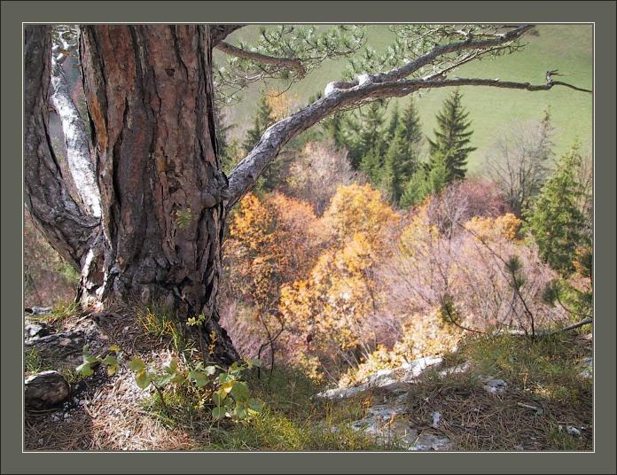 photo "The Edge" tags: landscape, autumn, mountains