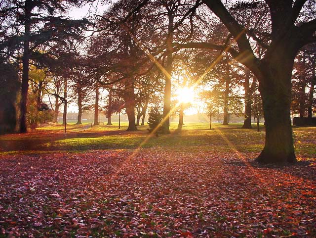 photo "Autumn Sunset, Pershore, England" tags: landscape, travel, Europe, autumn