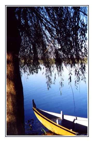 photo "anchored" tags: nature, 