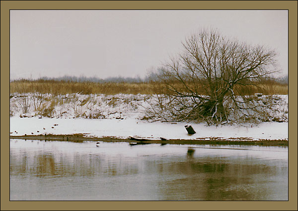 фото "Меланхолия" метки: пейзаж, зима