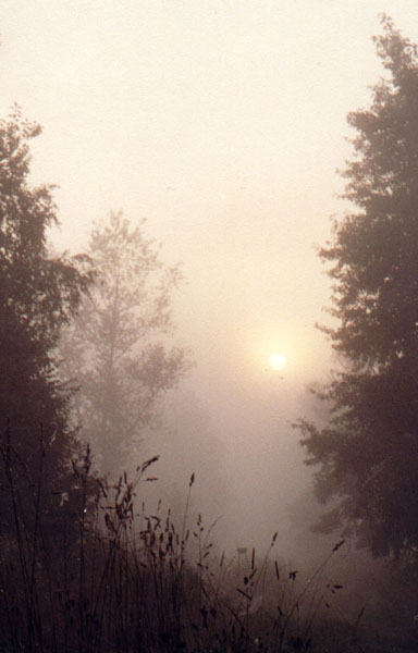photo "In a fog II" tags: landscape, autumn, sunset