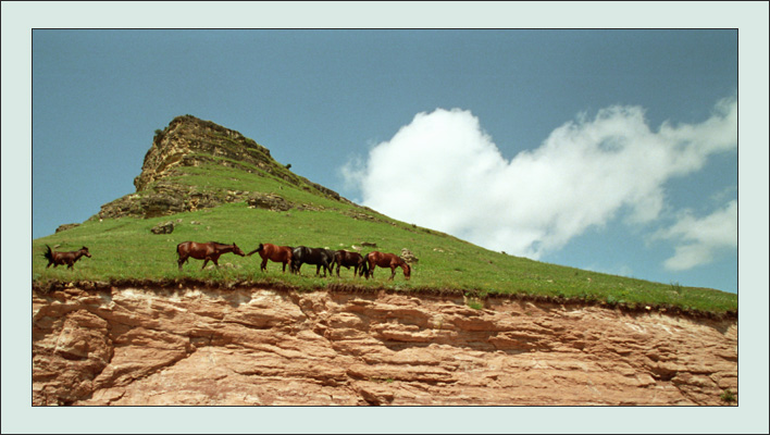 photo "On a mountain pasture" tags: travel, nature, Europe, pets/farm animals