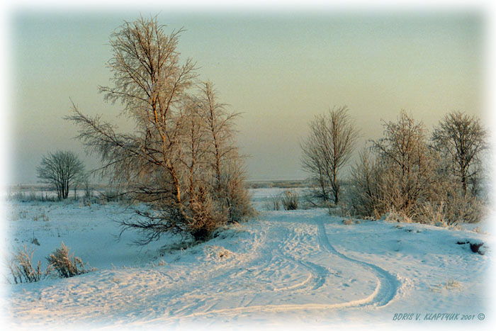 photo "It is a little winter and a frost 2" tags: landscape, forest, winter