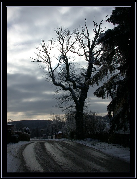 фото "It`s Just a Winter Landscape" метки: пейзаж, путешествия, Европа, зима