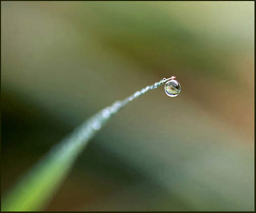 photo "globe" tags: macro and close-up, abstract, 