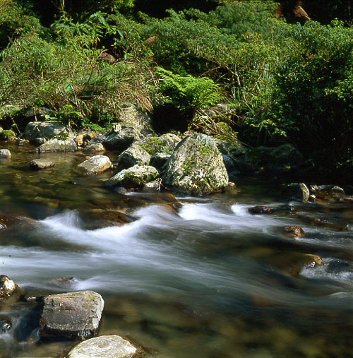 photo "Stream(1)" tags: landscape, water