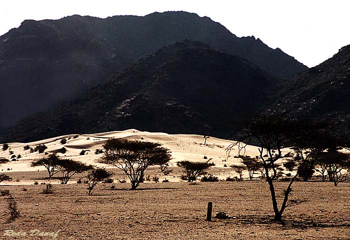 photo "Elba Mountain # 1" tags: travel, landscape, Africa, mountains