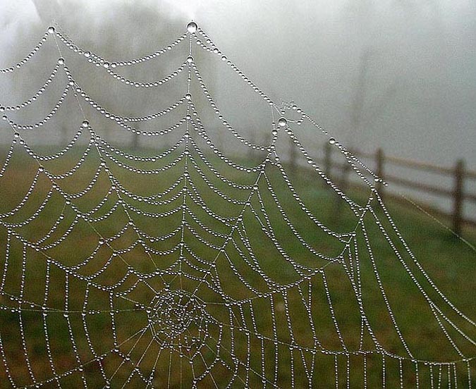 photo "Nobody Home" tags: nature, macro and close-up, 