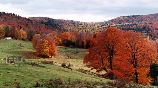 photo "Autumn Colors 1" tags: landscape, travel, North America, autumn