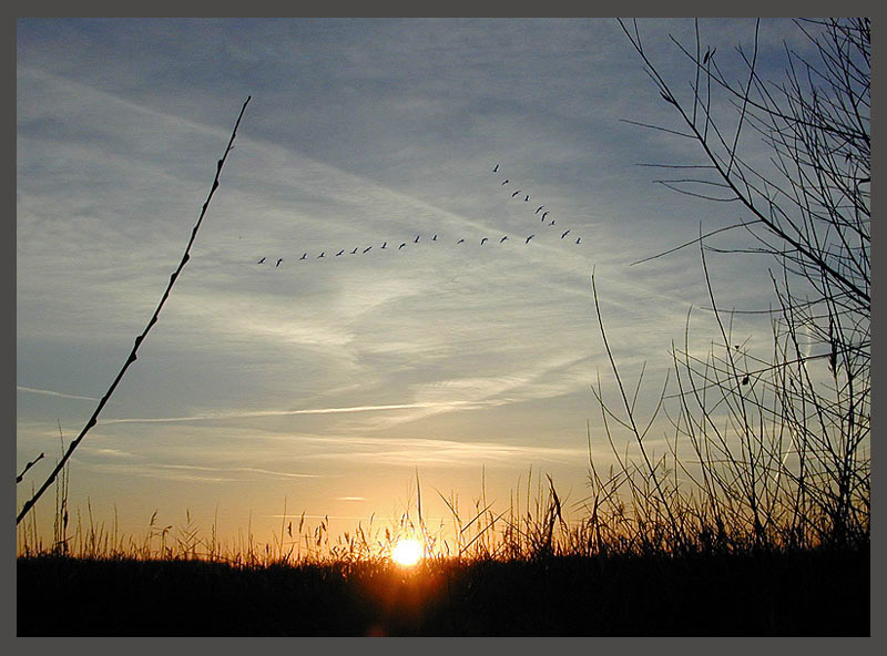 photo "Travelling Light - Birds" tags: landscape, clouds, sunset