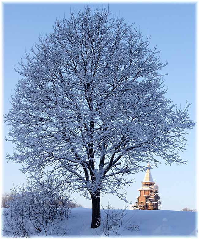 photo "Light and shadow" tags: nature, landscape, winter