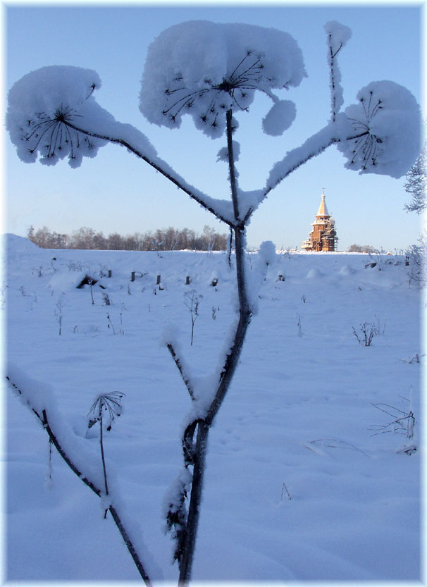 photo "Light and a shadow - 2 a joke." tags: nature, landscape, winter