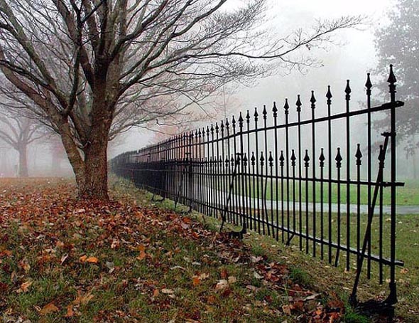 photo "Fenced In Fog" tags: travel, landscape, North America, autumn