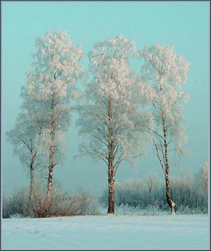 photo "Three sisters" tags: nature, landscape, winter