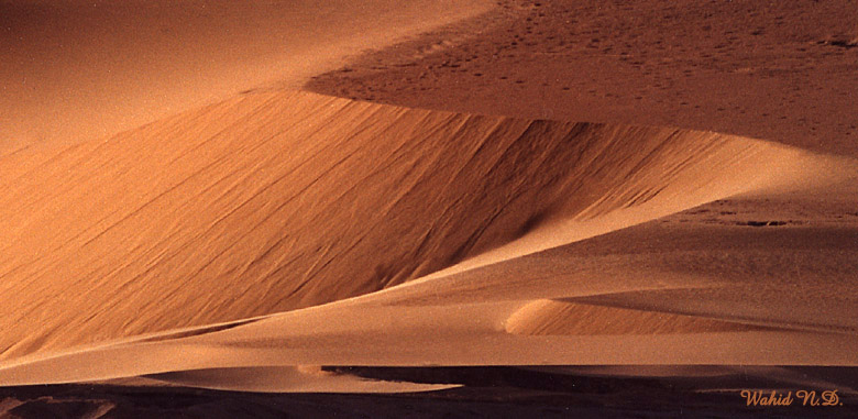фото "Sand Dunes#6" метки: пейзаж, 