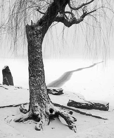 photo "Winter Scene" tags: landscape, winter