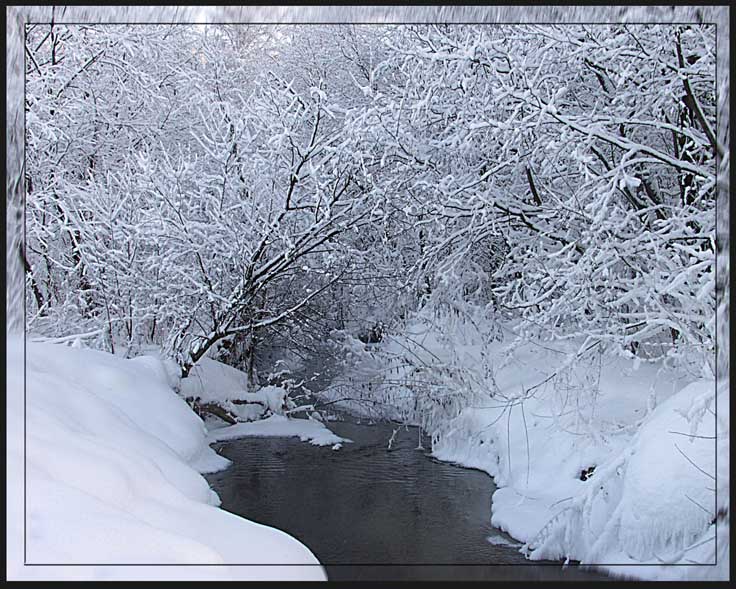 photo "Stiks should look in the winter" tags: landscape, misc., winter