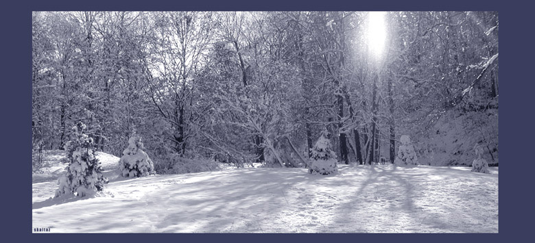 photo "Frigid Zone" tags: landscape, winter