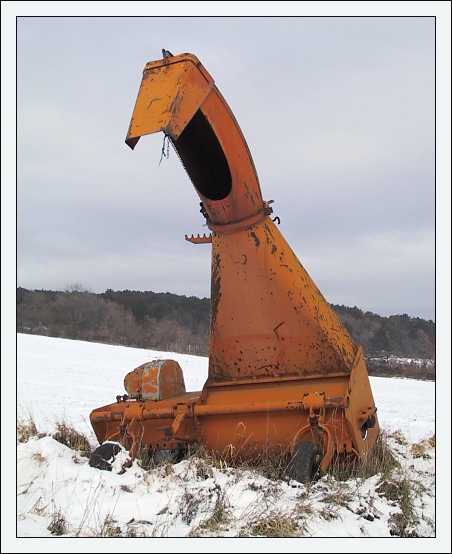 photo "Jurassic Park IV" tags: humor, landscape, winter