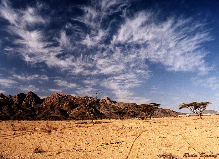 photo "Elba Mountain # 2" tags: travel, landscape, Africa, mountains