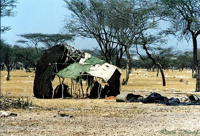 photo "Tough Life" tags: travel, landscape, Africa, mountains