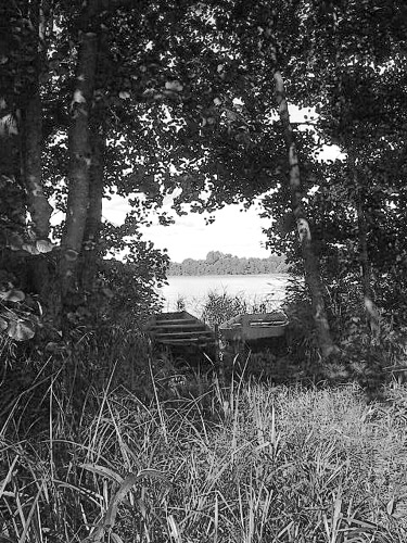 фото "Waiting in absolute silence..." метки: жанр, пейзаж, лес