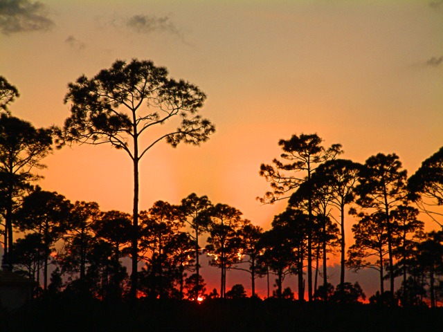 photo "Twilight Time" tags: nature, landscape, sunset