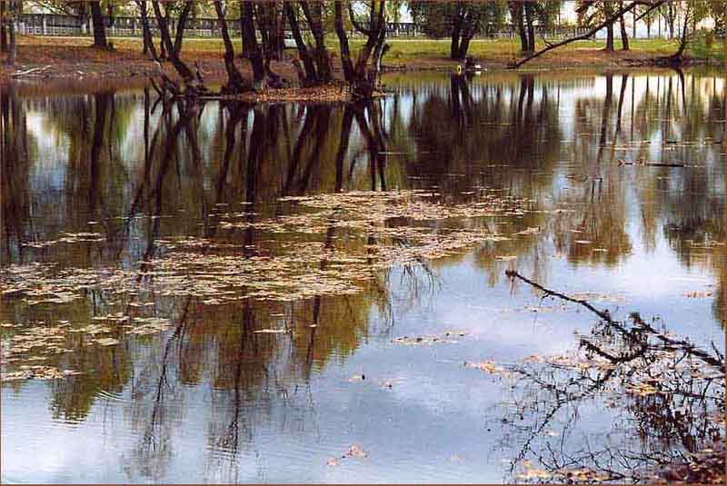 фото "Отражение" метки: пейзаж, вода, осень