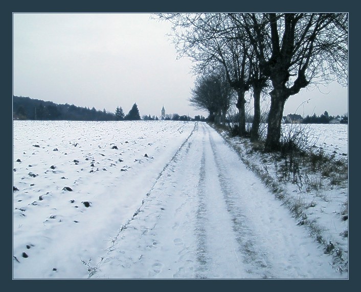 photo "A Long White Road" tags: landscape, winter
