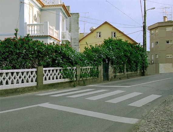 photo "Zebra Crossing (Roulette)" tags: humor, travel, Europe