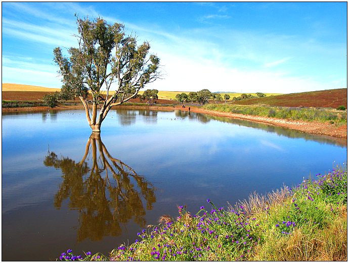 photo "Dam" tags: travel, landscape, Australia, water