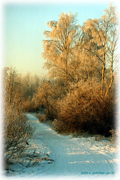 фото "Немного зимы и мороза 4" метки: пейзаж, зима, лес