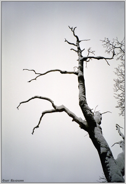 фото "Разлом" метки: пейзаж, зима, лес