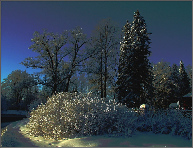 photo "Winter Light-3" tags: nature, landscape, winter