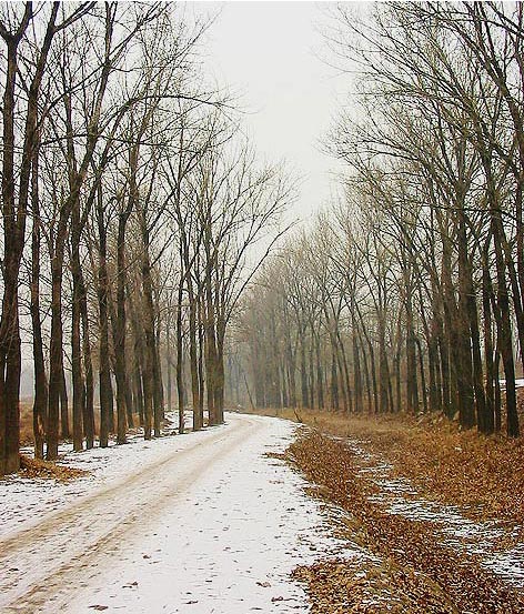 фото "First Snow In North Country" метки: пейзаж, зима