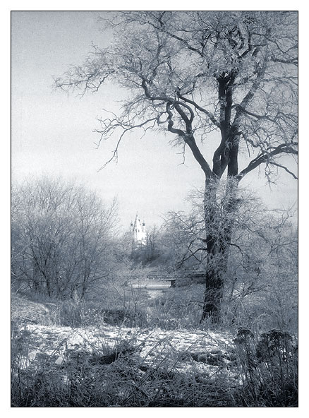 photo "Frosty day in Suzdal" tags: landscape, travel, winter