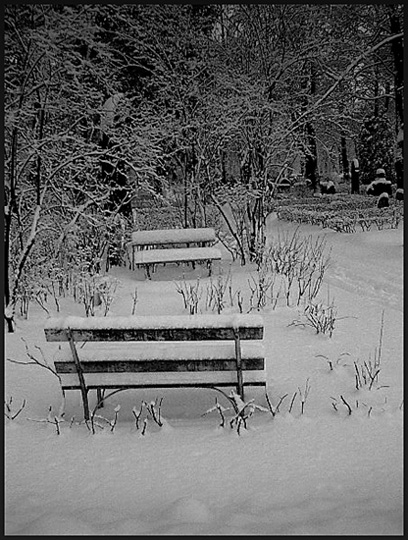 фото "Alone or maybe not..." метки: натюрморт, пейзаж, зима