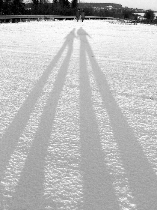 photo "Walking after Snow" tags: landscape, humor, winter