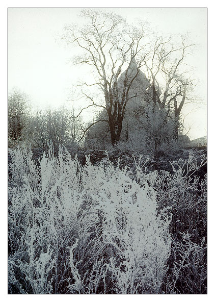 photo "Frosty day in Suzdal #2" tags: landscape, travel, winter