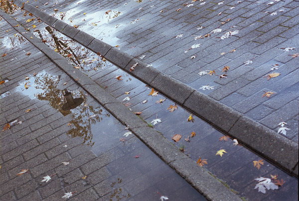 photo "Autumn in Danish Technical university" tags: travel, landscape, Europe, autumn