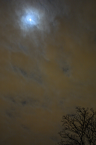 photo "There is a moon over Bourbon Street" tags: misc., 