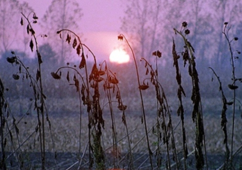 photo "daybreak" tags: landscape, sunset