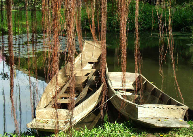 фото "Love boats" метки: юмор, 